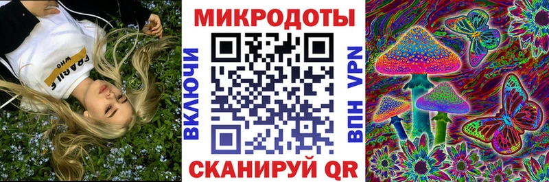 кракен онион Гвардейск Галлюциногенные грибы прущие грибы